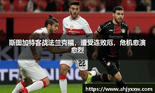 DB旗舰官网