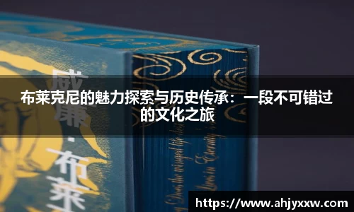 DB旗舰官网